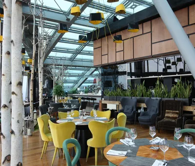 Дизайн-проект панорамного ресторана с желтыми, зелеными и красными креслами  и березами в кадках