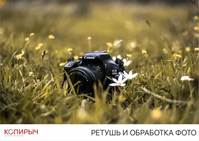 Ретушь фото в Минске | Профессиональная обработка фото