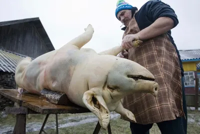 Мясо Deboning магазин Butcher Мясники режут свинину Линия Стоковое  Изображение - изображение насчитывающей дом, тучно: 120171225