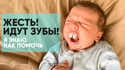 Режутся зубы сверху фото