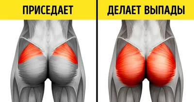 Тренировка после длительного перерыва: программа для мужчин и женщин –  ДОН-Спорт