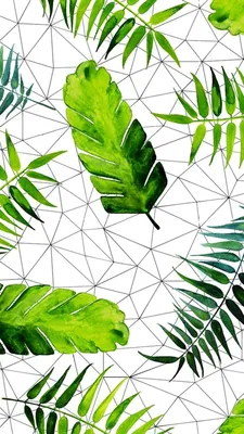 Зелёный/ Обои на телефон | Plant wallpaper, Plant art, Plant leaves