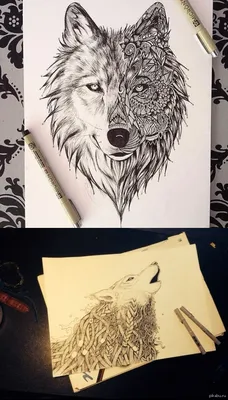 Красивые рисунки волка | Пикабу