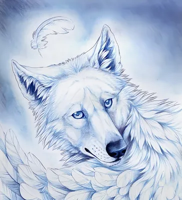 How to draw a face of a wolf with a pencil. A detailed lesson. - YouTube