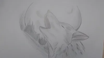 Волк / Как нарисовать волка/ Рисунок карандашом / Draw a Wolf with a  pencil! - YouTube