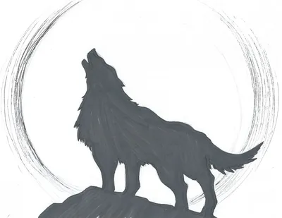 Рыжий волк.(Рисунок карандашом) | Семья Ярославцевых | Дзен