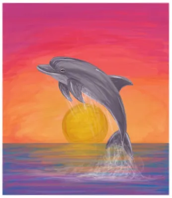 Рисунок дельфина фото фотографии