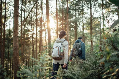 Any known alternatives to this Decathlon backpack? : r/rollerblading