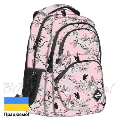 Школьный рюкзак для девочек Delsey Academie 003389621 2 Comp Backpack  купить в Москве ✓ Интернет-магазин ЧНК ✈