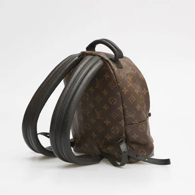 Рюкзак louis vuitton backpack — цена 1650 грн в каталоге Рюкзаки ✓ Купить  аксессуары по доступной цене на Шафе | Украина #140431247