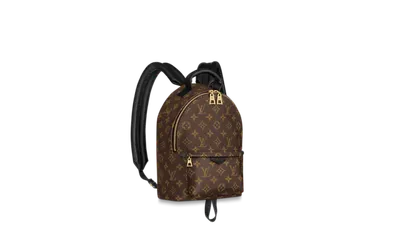 Рюкзак Louis Vuitton - купить с доставкой по выгодным ценам в  интернет-магазине OZON (1224711124)