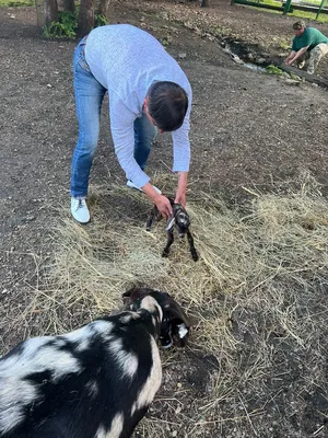 Директор пензенского зоопарка принял роды у козы