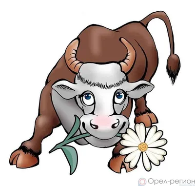 Злой животное с нулевым дикого быка рога быка Иллюстрация вектора -  иллюстрации насчитывающей шарж, епархии: 194776783