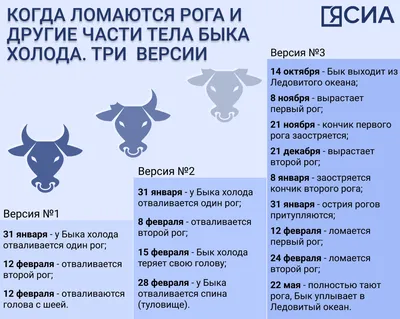 рога быка, оберег для защиты дома Антиквариат в Москве - Коллекционирование  на Gde.ru 19.10.2022