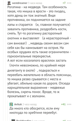 Оружие для охоты. Часть 1. С рогатиной на медведя | Военная история с В.  Свержиным | Дзен