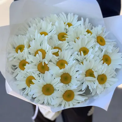 35 ромашек в букете | Бесплатная доставка цветов по Москве