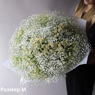 Букет из ромашек и гипсофилы - заказать доставку цветов в Москве от Leto  Flowers
