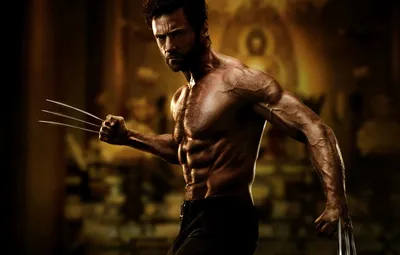 Обои Росомаха, Wolverine, Hugh Jackman, Logan, Хью Джекман, The Wolverine  картинки на рабочий стол, раздел фильмы - скачать