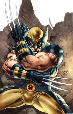 Люди_Икс, #Росомаха, #аватары, #картинки, #авы,  https://avatarko.ru/kartinka/13728 | Wolverine comic, Superhero comics art,  Wolverine art