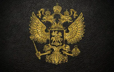 Обои кожа, золотой, герб, россия картинки на рабочий стол, раздел разное -  скачать
