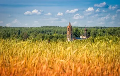 Обои поле, лето, церковь, summer, россия, field, просторы, russia, church  картинки на рабочий стол, раздел пейзажи - скачать