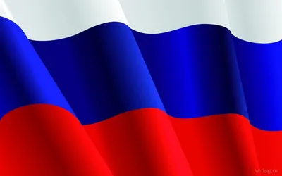 Фон флаг россии (200 фото) » ФОНОВАЯ ГАЛЕРЕЯ КАТЕРИНЫ АСКВИТ
