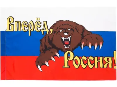 Флаг морской пехоты России с белым медведем — Интернет-магазин — promflag.ru