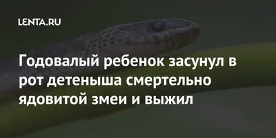 Рассказ о том, как пастуху в рот заползла змея. | Городская магия | Дзен