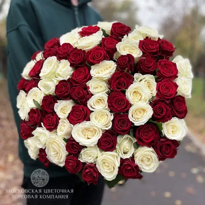 Букет 75 роз красно-белый микс купить за 15 425 руб. с круглосуточной  доставкой по Москве | Мосцветторг