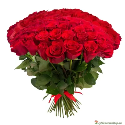 Букет из 35 красных роз Эквадор, сорт \u0026quot;фридом\u0026quot; недорого с  доставкой | Flowers Valley