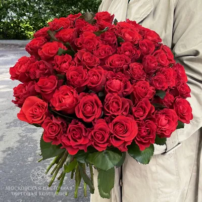 Букет 51 красных роз Эль Торо купить за 7 850 руб. с круглосуточной  доставкой по Москве | Мосцветторг
