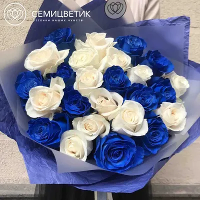 25 белых роз Vendela и синих роз купить в СПб в интернет-магазине  Семицветик✿