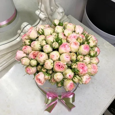 25 розово-зеленых пионовидных роз в коробке | Бесплатная доставка цветов по  Москве