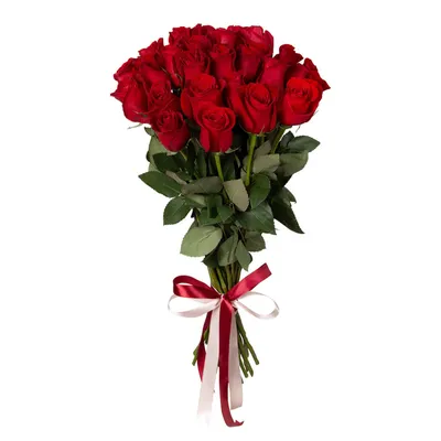 Купить букет из 15 красных роз 70 см по доступной цене с доставкой в Москве  и области в интернет-магазине Город Букетов