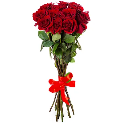 Букет из 15 роз Эквадор 70 см - купить в Москве по цене 5090 р - Magic  Flower