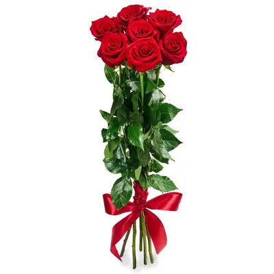 Букет из 7 красных роз Премиум (80 см) купить недорого, доставка - магазин  цветов Абари в Омске