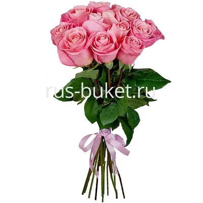 Букет из 15 розовых роз Премиум Эквадор» - купить в Санкт-Петербурге за 5  470 руб
