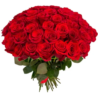 65 красных роз по цене 16950 ₽ - купить в RoseMarkt с доставкой по  Санкт-Петербургу