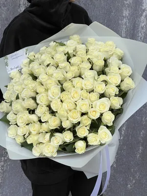 Роза 21-доставка цветов Запорожье - Роза «Белуга» в наличии !) . ☝️Бутон НЕ  большой, высота стебля 40см, но в количестве 51роза букет смотреться  великолепно!)💐💐💐 . ☝️Доставка и упаковка оплачиваются отдельно. . ⚡️Для