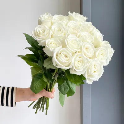 ROYAL Flowers - Белуга 50 см 101 роза 1250 51 роза 650 | Facebook