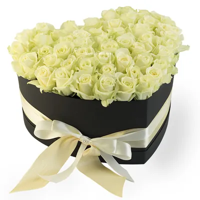 50 White Beluga Roses in Signature Vase Wrap – GO FLOWER