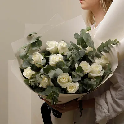 Cut Rose \"Beluga\" (Rosen Tantau) | Love rose, Rose, Beautiful flowers