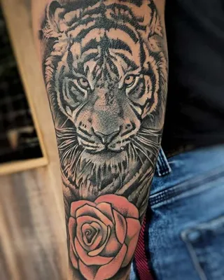 Tiger Rose Band