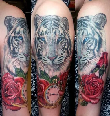 Tiger an Rose tattoo by Ben Kaye | Post 18658