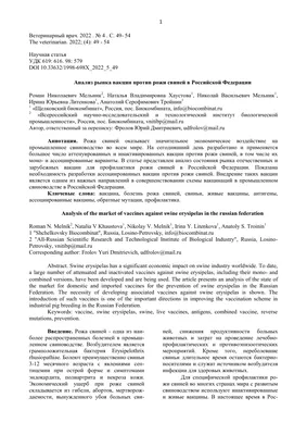 Рожа у свиней: симптомы и лечение в домашних условиях, вакцина (сыворотка)  против болезни, можно ли есть мясорожа у свиней