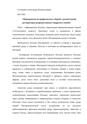 Самые опасные болезни свиней: стоит ли их бояться человеку? | Эксперт по  сельской жизни | Дзен