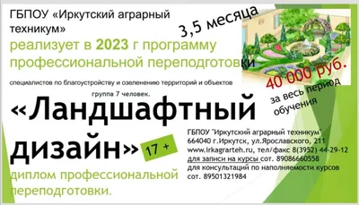 В Ветлянке, где погибло 47 свиней, обнаружена опасная инфекция рожа - KP.RU