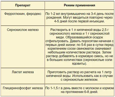 РОЖА у свиней,как лечить? - YouTube