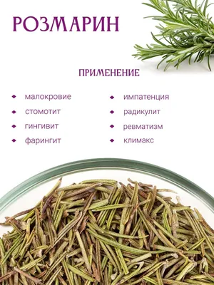 Розмарин - купить Крымские травы недорого в интернет-магазине «Травы  Горного Крыма»