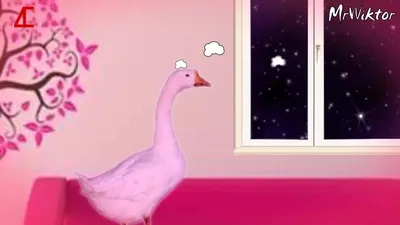 Слепой розовый гусь / Blind pink goose - Coub - The Biggest Video Meme  Platform